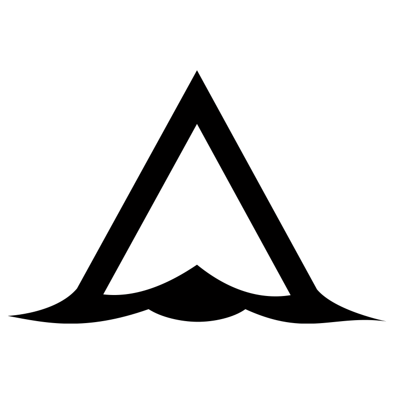 PLAY SALTY Logo in Black